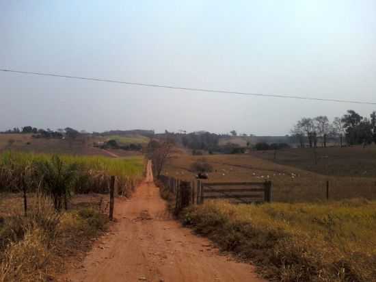 A CAMINHO DA USINA POR TERRA, POR VANDERLEI BISSIATO - MONTE APRAZVEL - SP