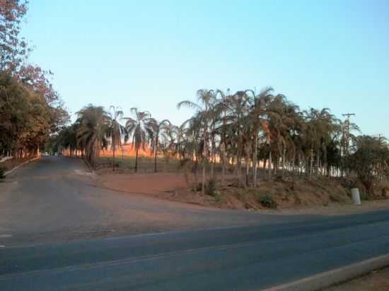 JARDIM DOM BOSCO, POR VANDERLEI BISSIATO - MONTE APRAZVEL - SP