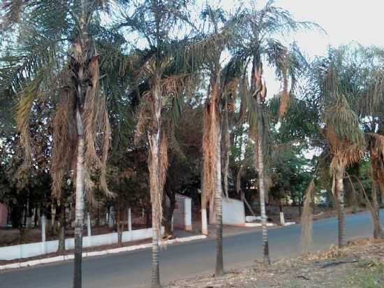 JARDIM DOM BOSCO, POR VANDERLEI BISSIATO - MONTE APRAZVEL - SP