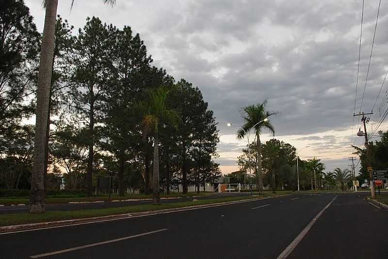 MONTE AZUL PAULISTA-SP-AVENIDA DE ENTRADA DA CIDADE-FOTO:MONTEAZUL25 - MONTE AZUL PAULISTA - SP