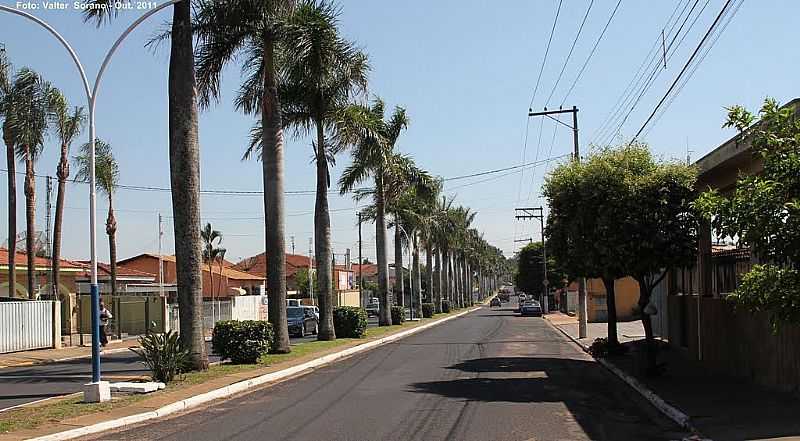 MONTE AZUL PAULISTA-SP-AVENIDA DR.ANTNIO BORGES DE QUEIRZ-FOTO:VALTER SORANO - MONTE AZUL PAULISTA - SP