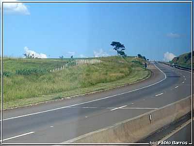 RODOVIA SP 127-FOTO:FABIO BARROS CITYS - MORRO DO ALTO - SP