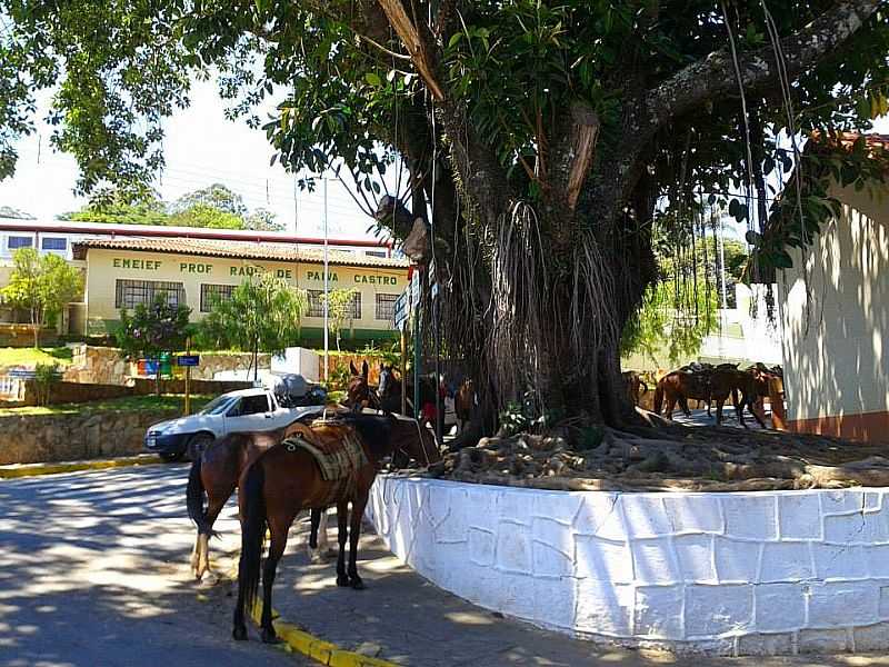 IMAGENS DO DISTRITO DAS MOSTARDAS - SP - MOSTARDAS - SP