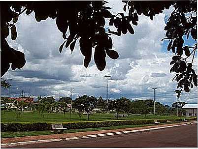 PRAA DO PAU BRASIL-FOTO:FABIO DE MELLO FALVO  - MOTUCA - SP