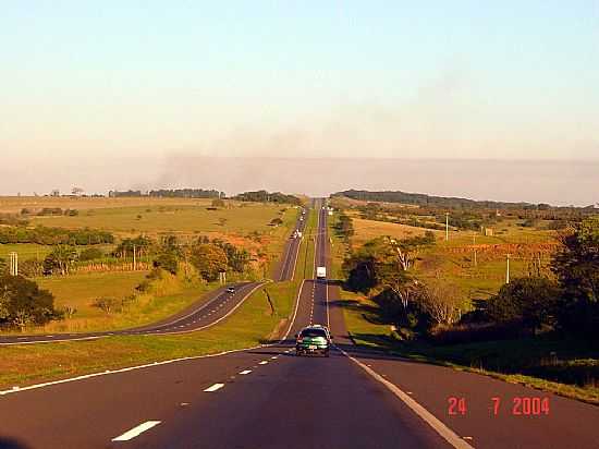 MURITINGA DO SUL-SP-RODOVIA MARECHAL RONDON-SP-300-FOTO:NILTON CEZAR - MURUTINGA DO SUL - SP