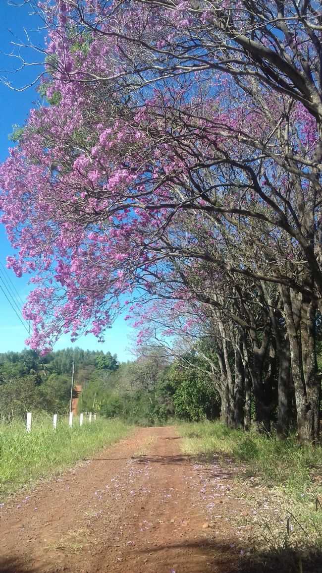TURISMO RURAL  NA FAZENDA LARANJEIRAS, POR ESTER MORAES - NARANDIBA - SP