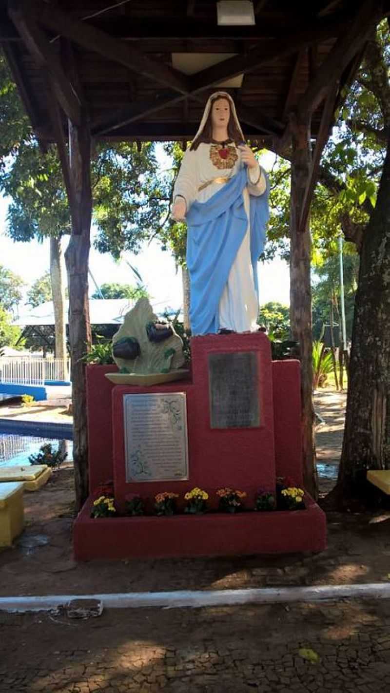 IMAGENS DE NEVES PAULISTA - SP - NEVES PAULISTA - SP