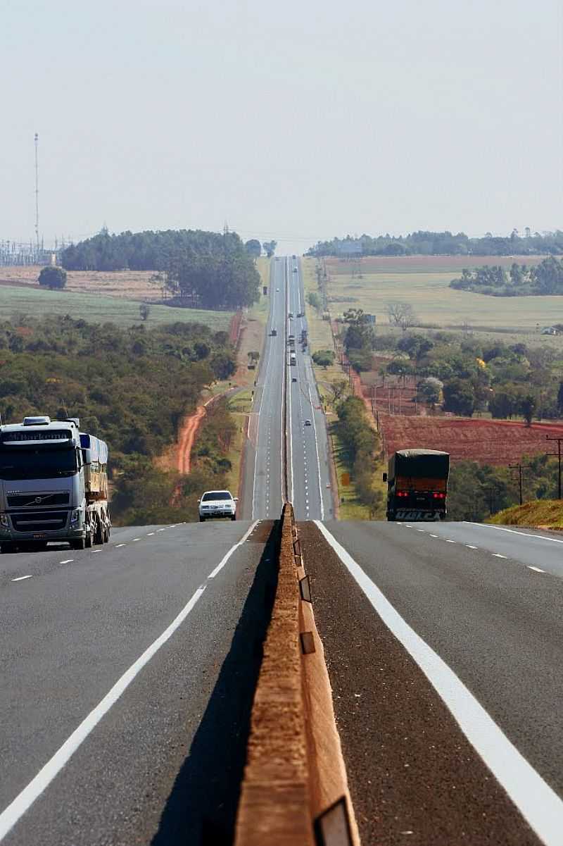 ROD. RAPOSO TAVARES KM.434, SENTIDO OESTE ENTRE NOVA ALEXANDRIA E ASSIS - POR ERICO CHRISTMANN  - NOVA ALEXANDRIA - SP