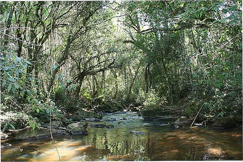 IMAGENS DA CIDADE DE NOVA CAMPINA - SP - NOVA CAMPINA - SP