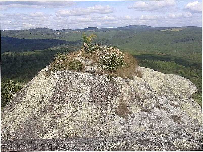 IMAGENS DA CIDADE DE NOVA CAMPINA - SP - NOVA CAMPINA - SP
