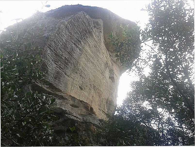 IMAGENS DA CIDADE DE NOVA CAMPINA - SP - NOVA CAMPINA - SP