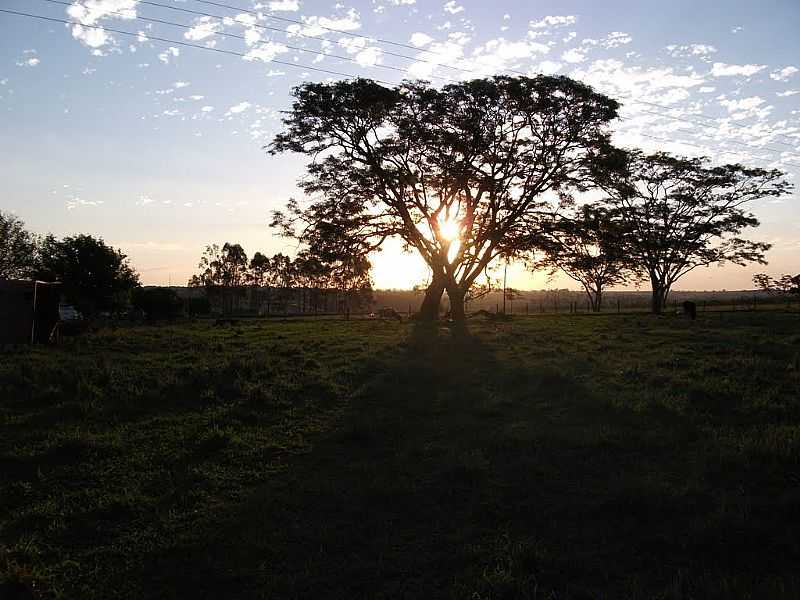 NOVA GRANADA-SP-PR DO SOL EM REA RURAL-FOTO:ITAFORTUNATO - NOVA GRANADA - SP