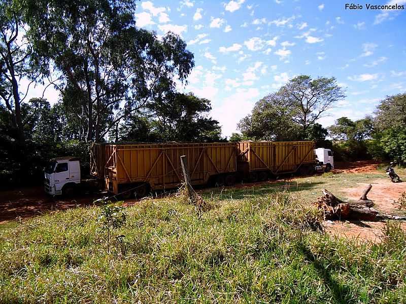 NOVO CRAVINHOS-SP-CAMINHES CANAVIEIROS-FOTO:FABIO VASCONCELOS - NOVO CRAVINHOS - SP