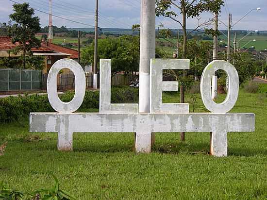 ENTRADA DA CIDADE DE LEO-FOTO:CARLOS ZEPPY - LEO - SP