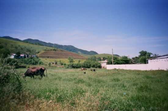 PRACINHA, POR OSWALDO MUNIZ - OLIVEIRA BARROS - SP