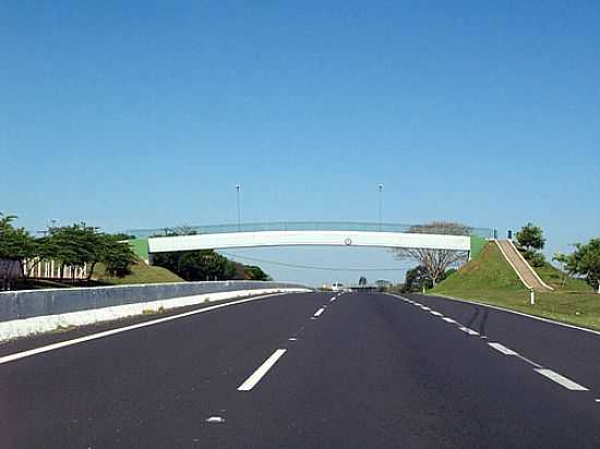 ORIENTE FOTO POR EDUARDO M. P. DANTAS - ORIENTE - SP