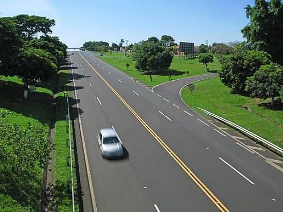 ORIENTE FOTO POR EDUARDO M. P. DANTAS - ORIENTE - SP