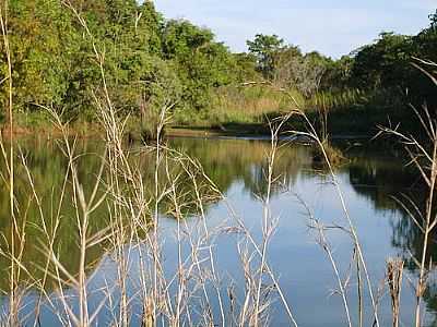 POR MARCOS BRAZ DE SOUZA (PANORAMIO) - ORLNDIA - SP