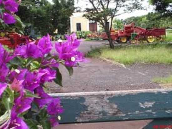 MUSEU AGROMEN DE TRATORESE IMPLEMENTOS AGRCOLAS.MAIOR MUSEU DO GNERO NO MUNDO-FOTO:MARCO AURELIO ESPARZ - ORLNDIA - SP