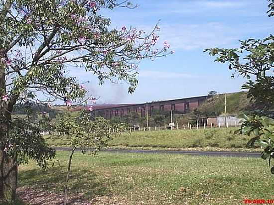 VIADUTO FERROVIRIO VISTO NA ENTRADA DE ORLNDIA-FOTO:MARCO AURLIO ESPARZ... - ORLNDIA - SP