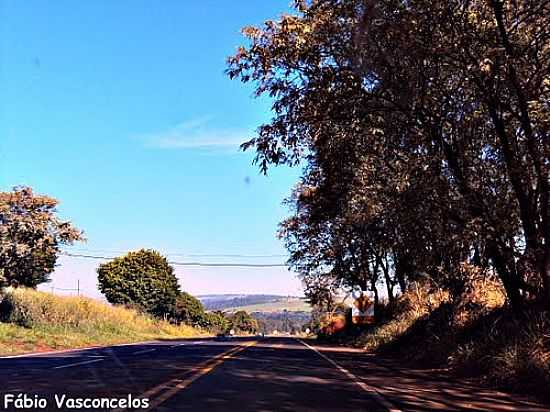 RODOVIA MELLO PEIXOTO SP-278 EM OURINHOS-SP-FOTO:FABIO VASCONCELOS - OURINHOS - SP