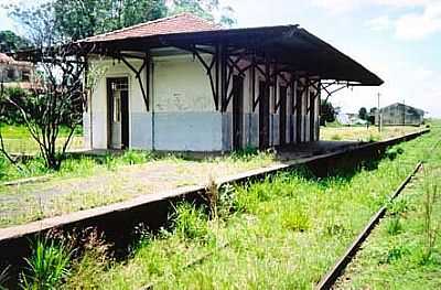 ANTIGA ESTAO: FOTO
FABIO VASCONCELOS  - PACAEMBU - SP