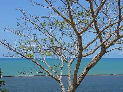 POR BRUNO MENEZES - PORTO SEGURO - BA