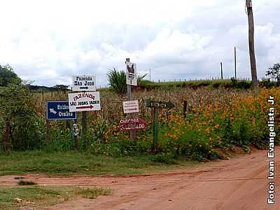 PROPRIEDADE RURAL-FOTO:IVAN EVANGELISTA JR  - PADRE NBREGA - SP