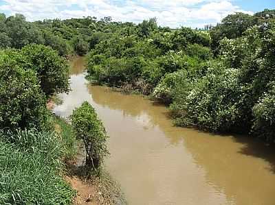 PALMARES PAULISTA RIBEIRO POR ANDR BONACIN - PALMARES PAULISTA - SP