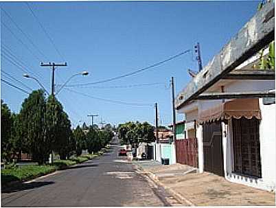 AV.PEDRO PENARIOL-FOTO:MAURO LUIZ BENEDITO   - PARASO - SP