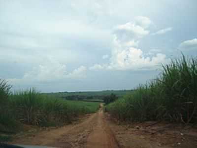 ESTRADA RURAL-FOTO:MAURO LUIZ BENEDITO   - PARASO - SP