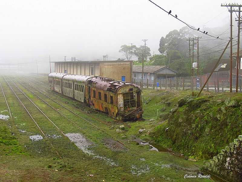 VILA DE PARANAPIACABA  - POR CIDONIORINALDI - PARANAPIACABA - SP