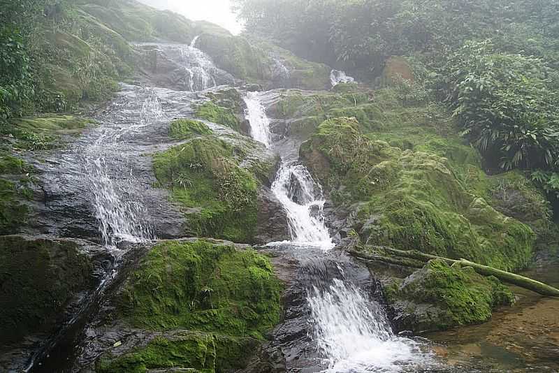 CACHOEIRA DAS TARTARUGUINHAS - PARANAPIACABA - POR ANDRE  PIMENTEL - PARANAPIACABA - SP