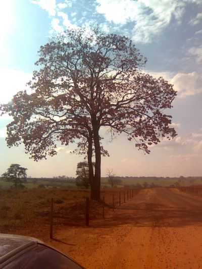 PARANAPUA, POR PAULO - PARANAPU - SP