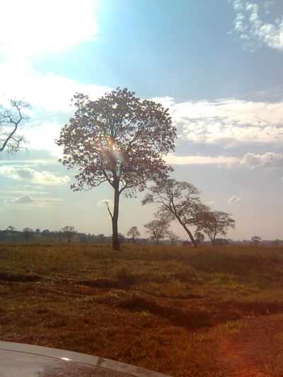 PARANAPUA, POR PAULO - PARANAPU - SP