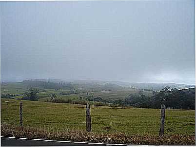 PARDINHO  FOTO
JOO SAVIOLI - PARDINHO - SP