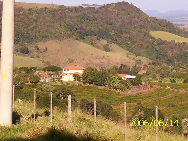 PARDINHO-SP-VISTA DA SERRA E REGIO-FOTO:LUZIA FRATA - PARDINHO - SP