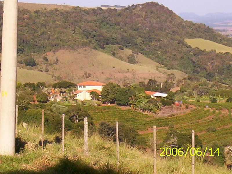 PARDINHO-SP-VISTA DA SERRA E REGIO-FOTO:LUZIA FRATA - PARDINHO - SP