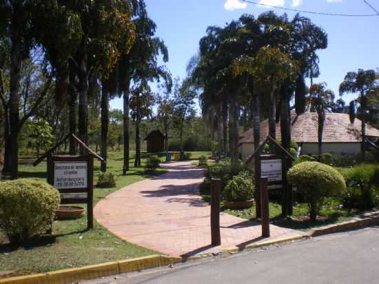 MINI PANTANAL DE PAULINIA, POR ANAUILA FEIJ  AMARANTE - PAULNIA - SP