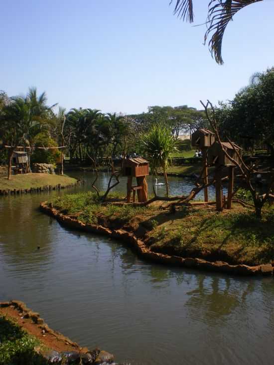 PARQUE ECOLOGICO ARMANDO MULLER, POR ANAUILA FEIJ  AMARANTE - PAULNIA - SP