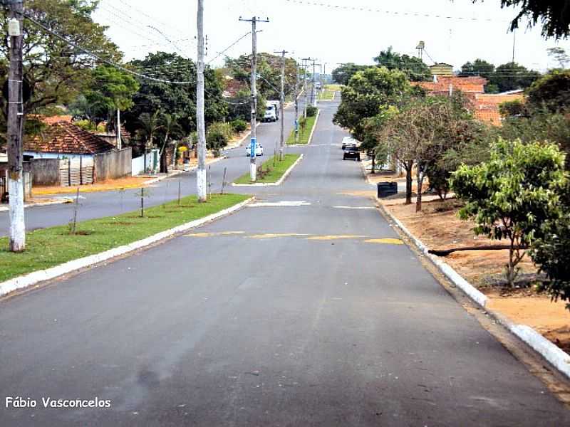 PAULPOLIS-SP-AVENIDA DE ENTRADA DA CIDADE-FOTO:FABIO VASCONCELOS - PAULPOLIS - SP