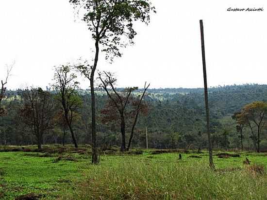 CERRADO NA REGIO DE PEDERNEIRAS-FOTO:GUSTAVO_ASCIUTTI - PEDERNEIRAS - SP