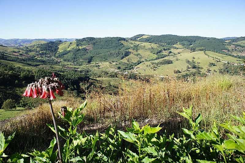 PEDRA BELA-SP-VISTA DA REGIO-FOTO:ERNANDES C SANTOS  - PEDRA BELA - SP