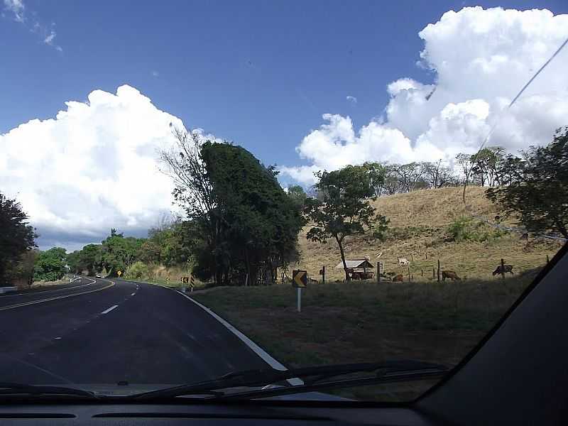 PEDREGULHO-SP-RODOVIA CNDIDO PORTINARI-SP-334-FOTO:ALEXANDRE BONACINI - PEDREGULHO - SP