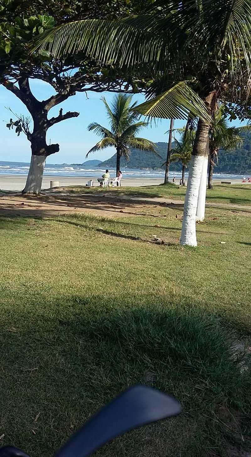 PERUBE-SP-ORLA DA PRAIA-FOTO:CONCEIO SAVIOLI  - PERUBE - SP