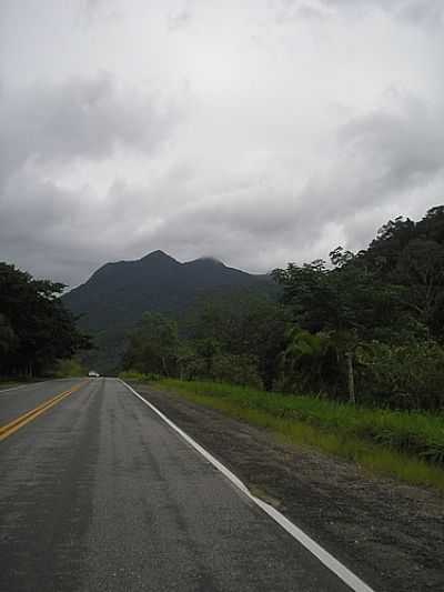 MONTANHAS DA RESERVA DE PIINGUABA - PICINGUABA - SP