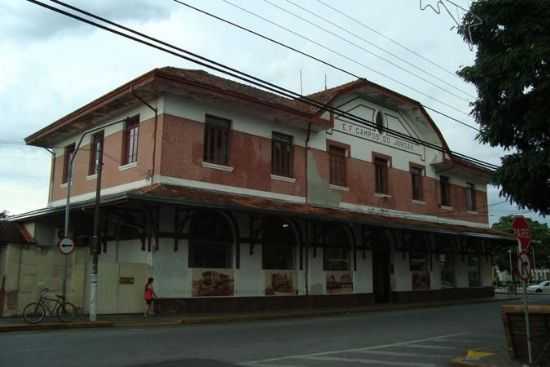 PINDA, POR GISELE SPILDER - PINDAMONHANGABA - SP