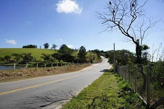 ESTRADA AO LADO DA REPRESA DE PINHALZINHO-FOTO:ERNANDES C SANTOS - PINHALZINHO - SP