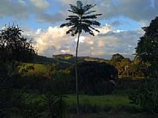 VISTA DA REGIO DE PINHALZINHO-FOTO:ROGERMAMO - PINHALZINHO - SP