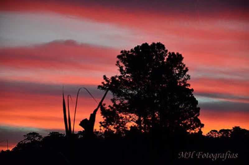 PIRACICABA-SP-ENTARDECER EM PIRACICABA-FOTO:MH FOTOGRAFIAS - PIRACICABA - SP